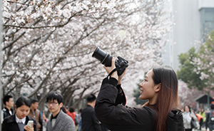 上海花期預(yù)報(bào)被吐槽“粗線條”，專家：現(xiàn)在天氣變化無常