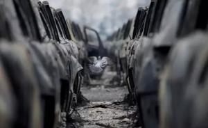 河南出入境檢驗檢疫局辦進口車登檢，發(fā)現(xiàn)天津爆炸事故損毀車