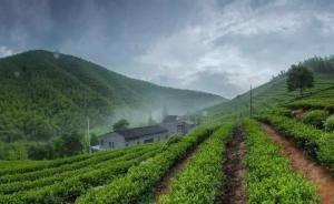機構嘗試眾籌模式改造“空心村”，稱要讓鄉(xiāng)村恢復活力