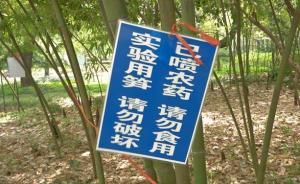 南京一高校竹筍實驗幾年都沒完成，只因竹筍年年被偷挖