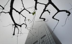 上海凌晨发大雾预警：各条高速限速，浦东机场起降受影响