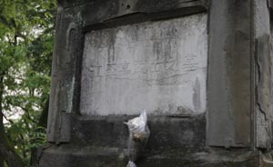 重慶紅衛(wèi)兵墓故事|“中央赴渝調(diào)查組”的“保衛(wèi)者”