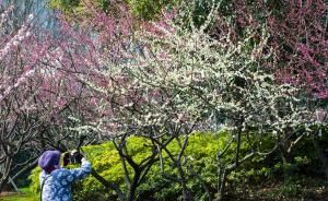 上海15座公园将对65岁老人免费，21座公园将全天开放