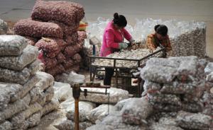 从“蒜你贱”到“蒜你狠”，莫让农民收益的小船说翻就翻