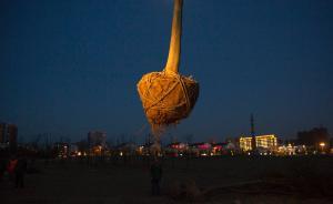 直击｜常外学生集体请假体检，“有毒地块”加班进行绿化