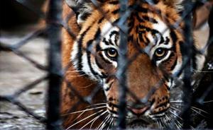 全國至少18省份5部委部署巡視“回馬槍”，多名干部被追責