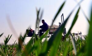 國(guó)家糧食局回應(yīng)“糧食高庫(kù)存,進(jìn)口大量增長(zhǎng)”:堅(jiān)持基本自給