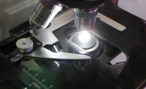 “臺(tái)灣四家醫(yī)院藥物臨床試驗(yàn)數(shù)據(jù)”可用于在大陸申報(bào)藥品注冊(cè)