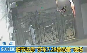 新疆莎車暴恐襲擊視頻首次曝光：司機(jī)燃燒車輛中救出小女孩