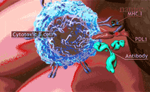 清華學者：魏則西所受療法臨床試驗在美均失敗，我國成主力軍