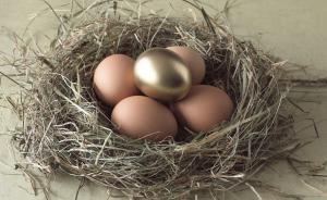 A股殼公司運(yùn)作手法翻新 ，“先控股再布法”模式悄然走紅