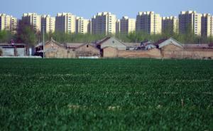 農(nóng)業(yè)部：像保護(hù)大熊貓一樣保護(hù)耕地，量不能少、質(zhì)不能降