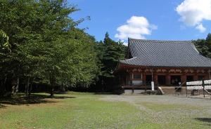 京都醍醐寺：密教文化的寶庫如何誕生