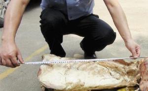 浙江破獲特大野生動物販賣案：獅子肉當(dāng)老虎肉賣可貴4倍