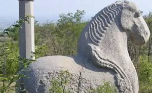 胡武功发表道歉声明：文保行动为何频受争议