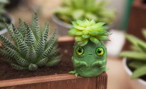 海上志怪｜我怎么還不如一棵多肉？