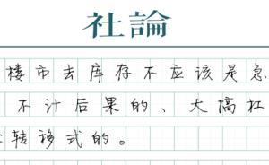 【社論】不靠轉(zhuǎn)移杠桿風(fēng)險(xiǎn)去庫存