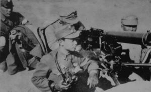 楊天石答抗戰(zhàn)七大疑問：蔣介石抗戰(zhàn)時為何依靠蘇聯(lián)？