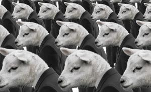 耶魯大學教授反思精英教育：不能輸在起跑線，卻輸在了終點線