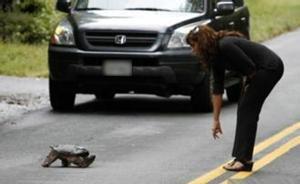 四川一对夫妻过马路有点慢遭围殴，打人驾车者：挡我们路找死