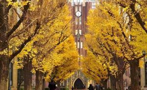 兩種文科的現(xiàn)代命運