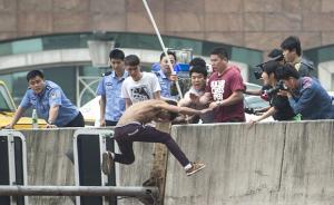 直击｜男子爬信号灯轻生，遭人挥杆“鞭打”，坠落前想抓护栏