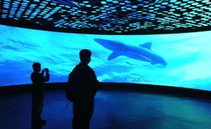 院士吴立新：打响“透明海洋”关键战，建海底到海面观测系统