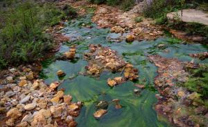 土十条起草参与者：土壤污染防治法有望2017年底前出台