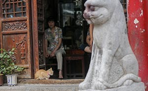 上海東臺(tái)路古玩市場(chǎng)面臨拆遷，有店主曾見(jiàn)劉德華掃走百只舊表