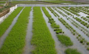 農業(yè)部這樣花錢：密集公布20個項目的可研批復，投資超2億