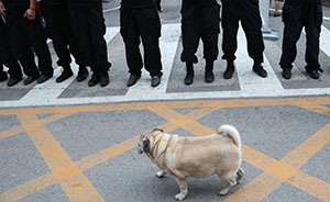 一切为了房：北京司空小区居民为选房源排队七天