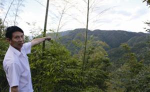 7600元承包千亩林地40年，村民诉合同无效两度发回重审