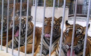 佳木斯市一區(qū)政府向市委原書記林秀山行賄，被判單位行賄罪