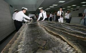 海南一公司走私蟒蛇皮、蟒蛇苗、蟒蛇蛋，案值8.06億元