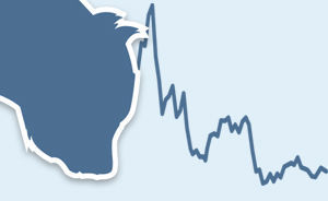 回眸股災(zāi)一周年：A股將去向何處？