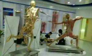 河南漯河医专学生到人体标本馆蹭空调，有人称虽学医还是害怕