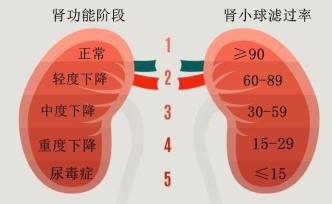 看一个人肾好不好，最主要看什么？