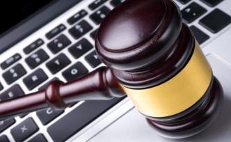 杜前：“异步审理”约占在线审案两成，诉讼流程20天内完成