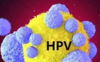 實(shí)用貼:宮頸HPV陽(yáng)性的幾種轉(zhuǎn)陰方法