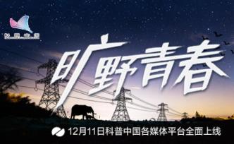 树语者、人象谈判师、海底拾遗人，他们的青春在旷野