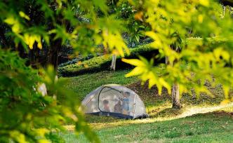 仇保興：建低碳新城勿入技術(shù)本位陷阱，變成“低碳居住機(jī)器”