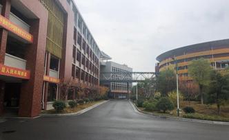 新时代新作为新篇章｜上海对口支援夷陵扶资更“扶智”