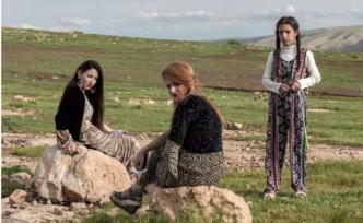 假展覽／楊達(dá)：庫(kù)爾德人