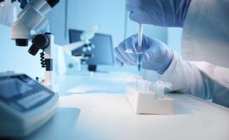 調(diào)控微小RNA或可治療亨廷頓舞蹈癥