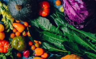 吉及鮮宣融資失??；呆蘿卜重運(yùn)營(yíng)；淘集集宣破產(chǎn)；我廚買菜