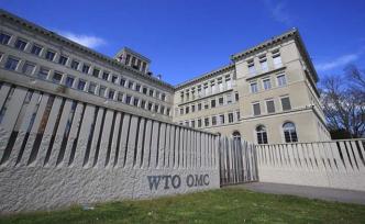 多個(gè)世貿(mào)組織成員對(duì)上訴機(jī)構(gòu)“停擺”表示失望