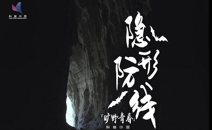 旷野青春 | 他们深入洞穴采集高危病毒，为制作疫苗铺路