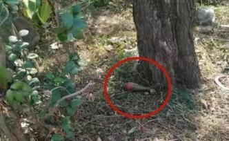 長沙河道附近驚現(xiàn)一枚炮彈，初步鑒定為抗戰(zhàn)時(shí)期遺留迫擊炮彈