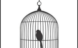 法治的細(xì)節(jié)︱逮捕之后是什么？