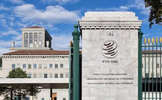 龐觀｜WTO上訴機(jī)制停擺：后全球治理時代降臨前的陣痛？
